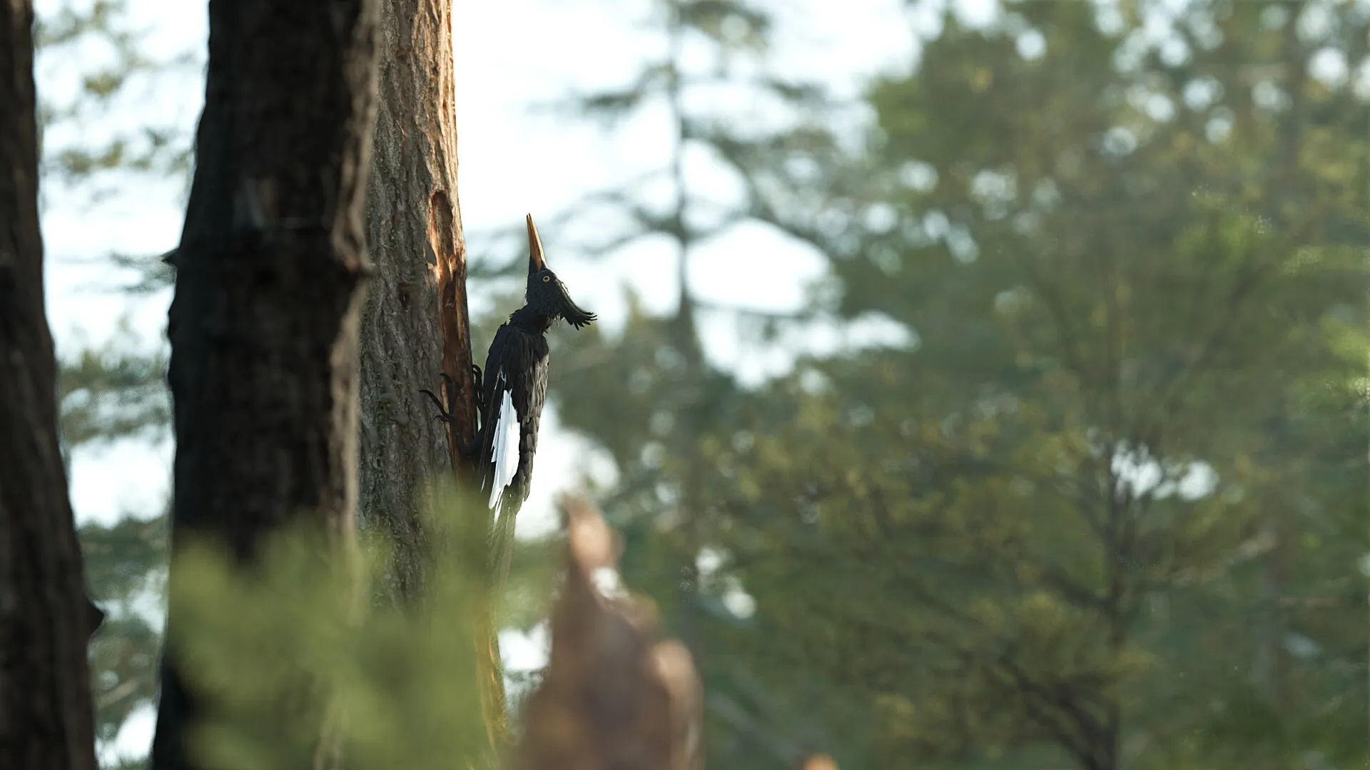 Imperial Woodpecker (Campephilus imperialis) — image 4