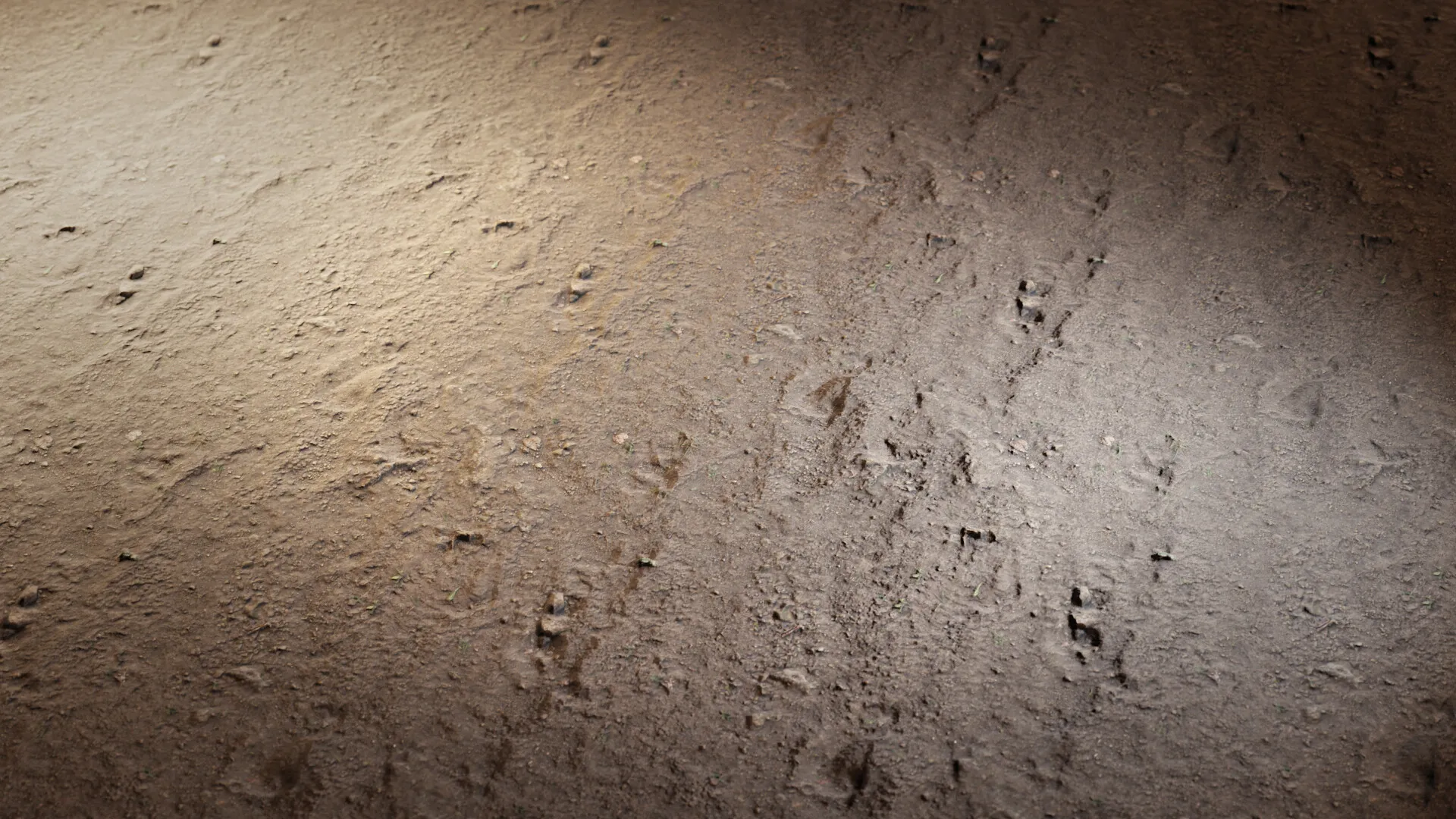 Rocky Ground — image 2