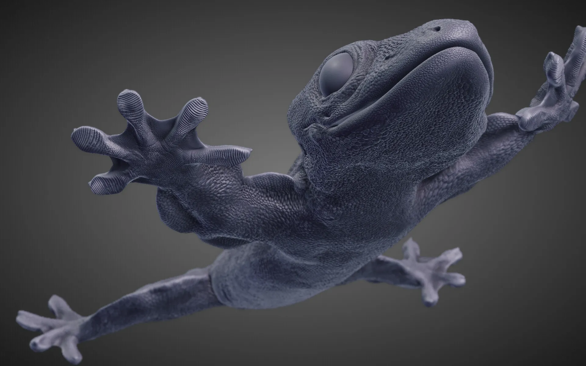 Flap-legged gecko (Luperosaurus macgregorii) — image 4