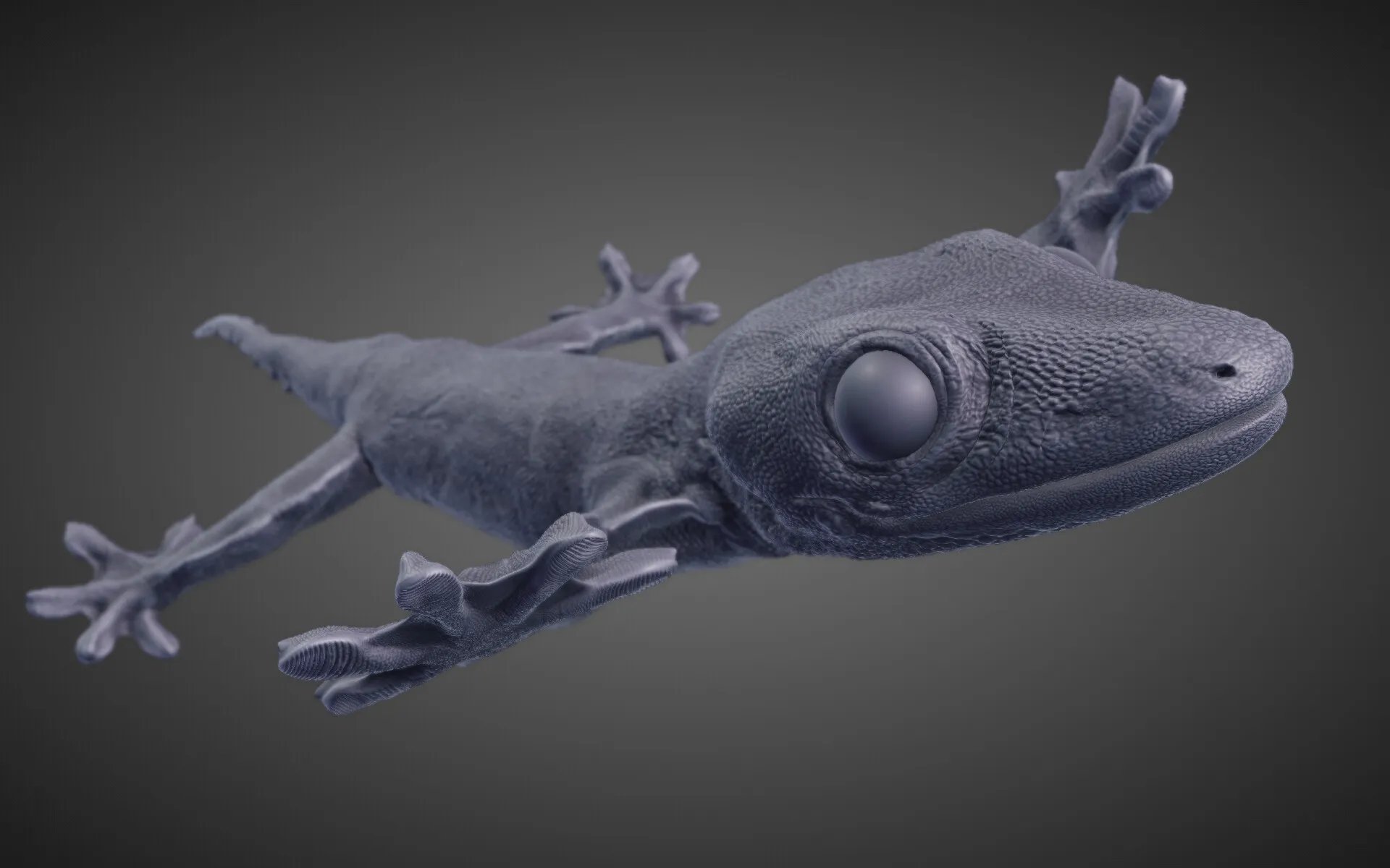 Flap-legged gecko (Luperosaurus macgregorii) — image 5