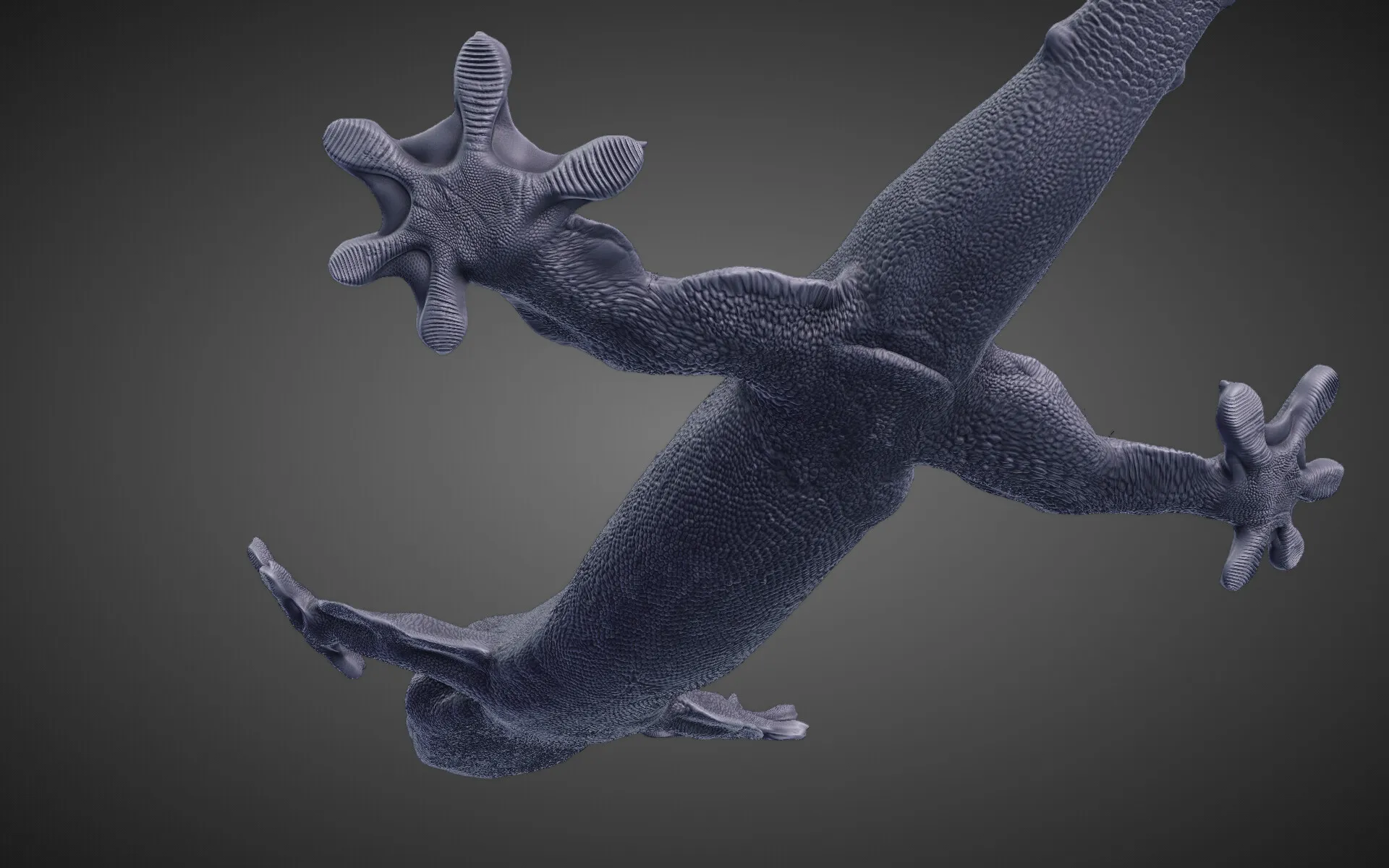 Flap-legged gecko (Luperosaurus macgregorii) — image 6