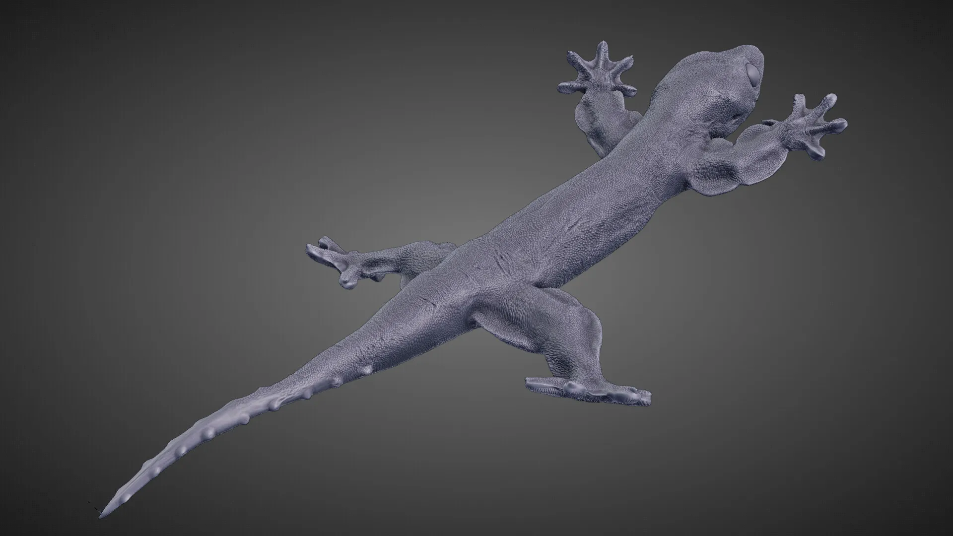 Flap-legged gecko (Luperosaurus macgregorii) — image 7