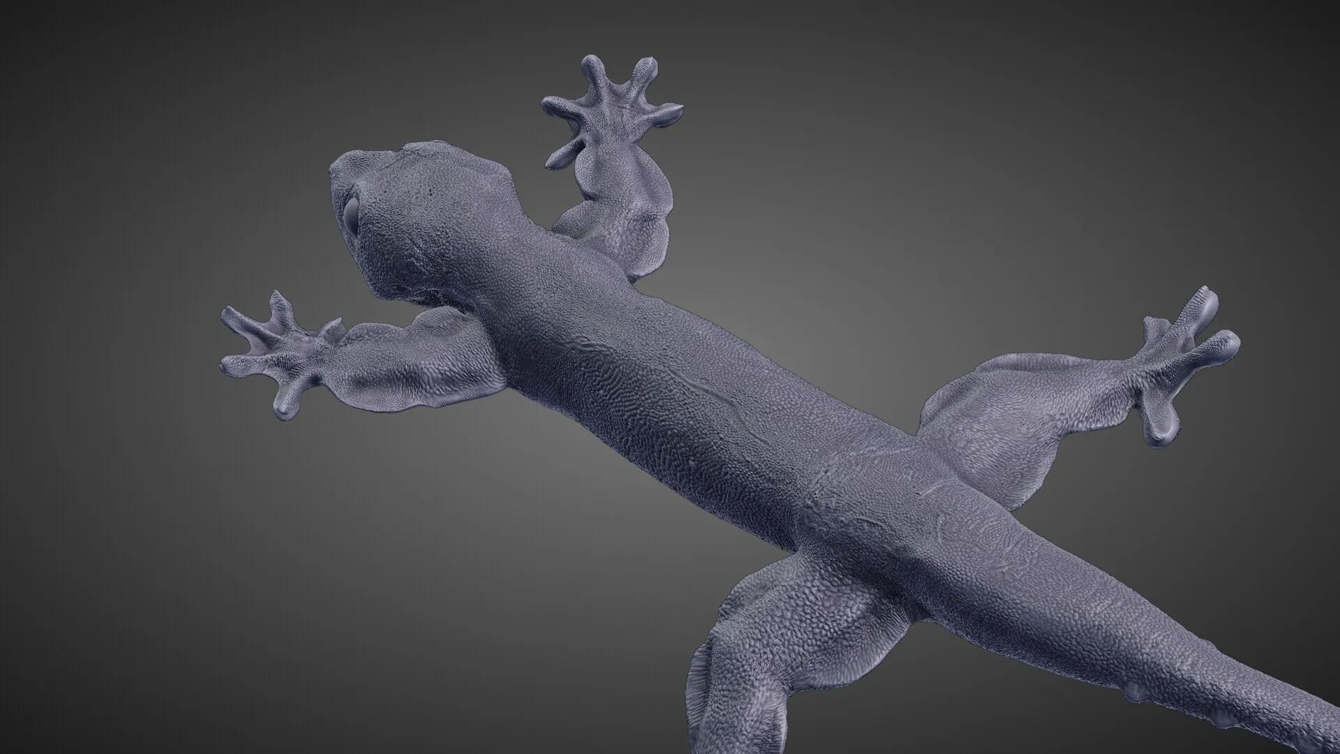 Flap-legged gecko (Luperosaurus macgregorii) — image 8