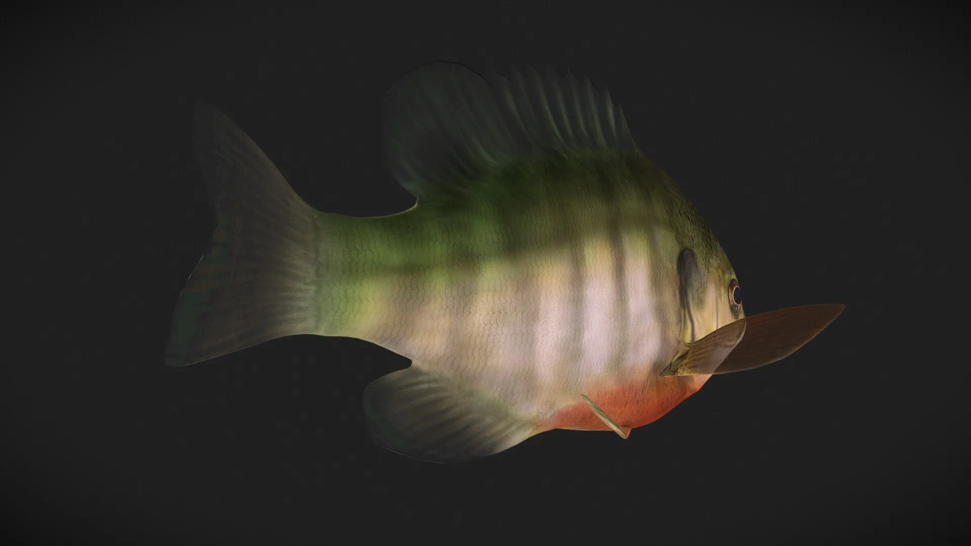 James River Experience Aquatic Life — image 2