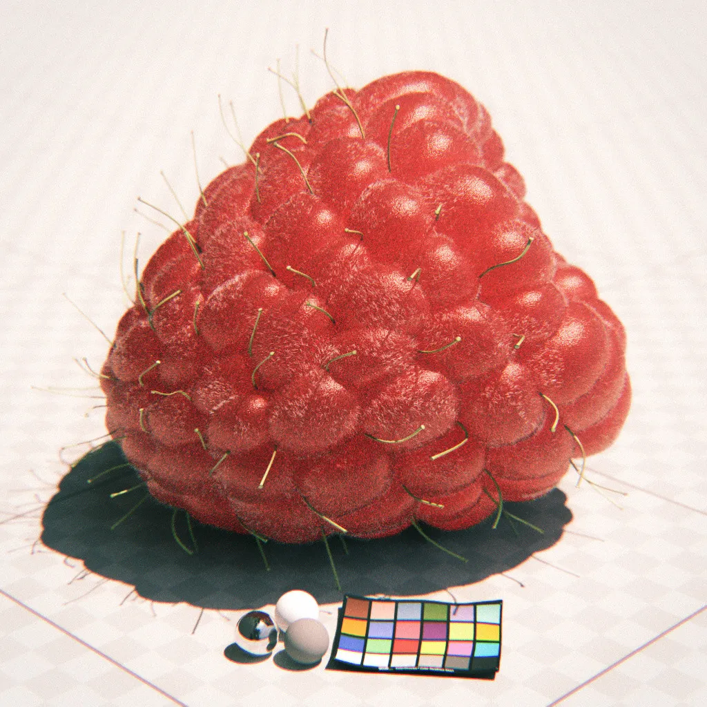Raspberry - Practice Session