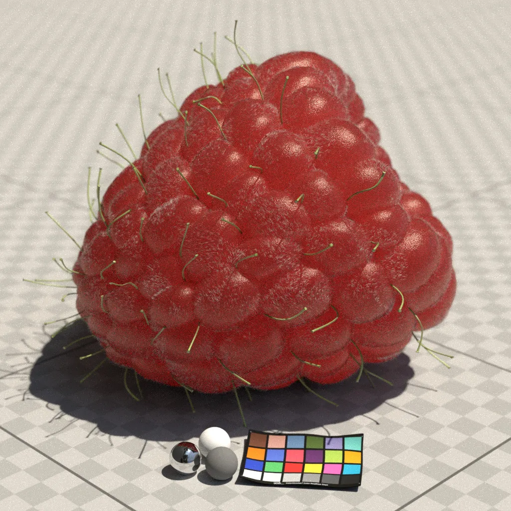 Raspberry - Practice Session — image 2