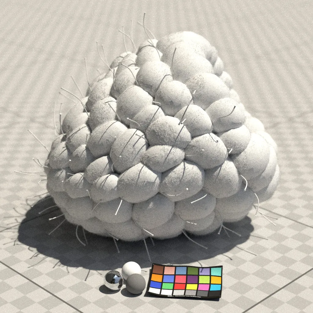Raspberry - Practice Session — image 3