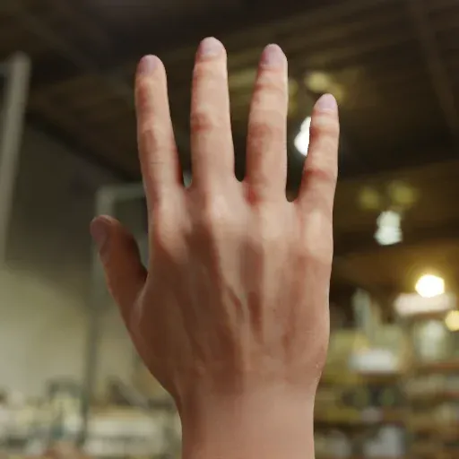 Realistic Hand