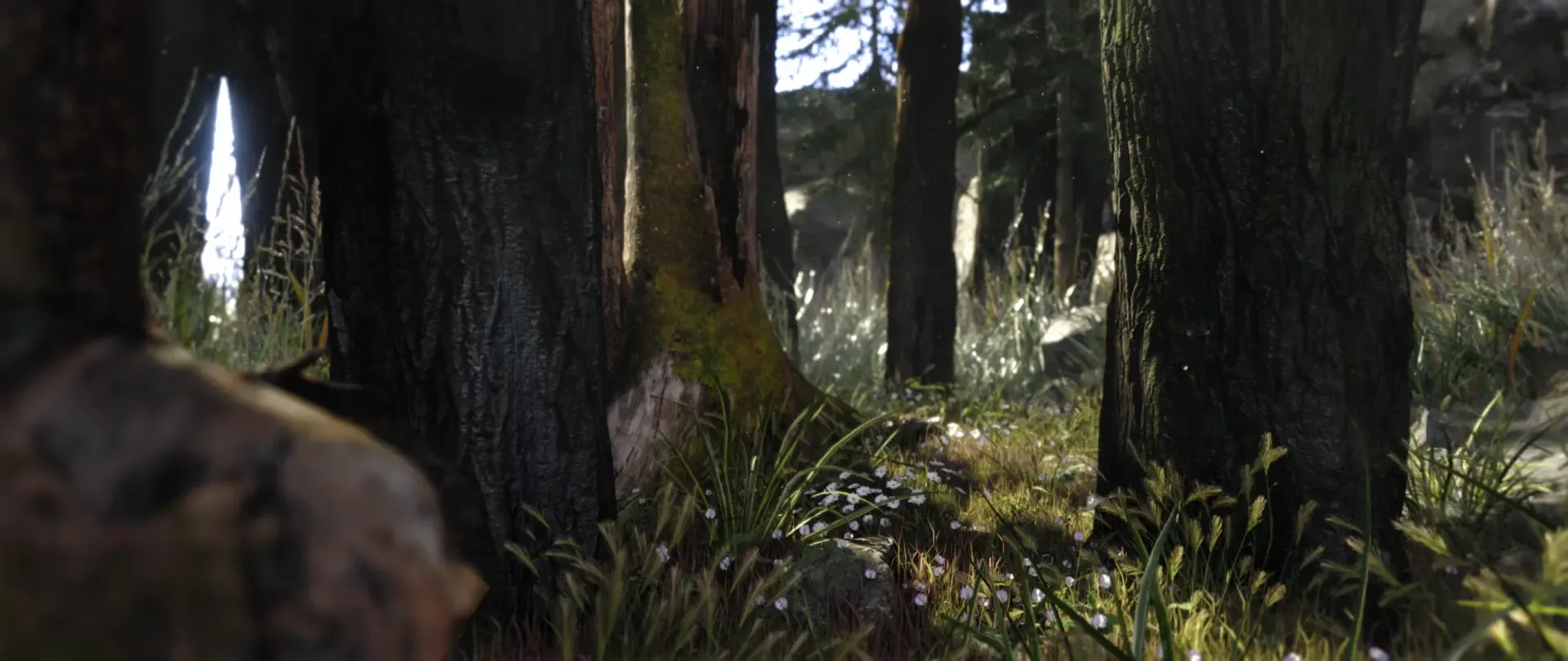 Realtime Forest Environment