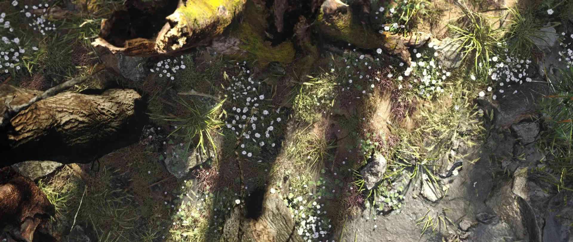 Realtime Forest Environment — image 2