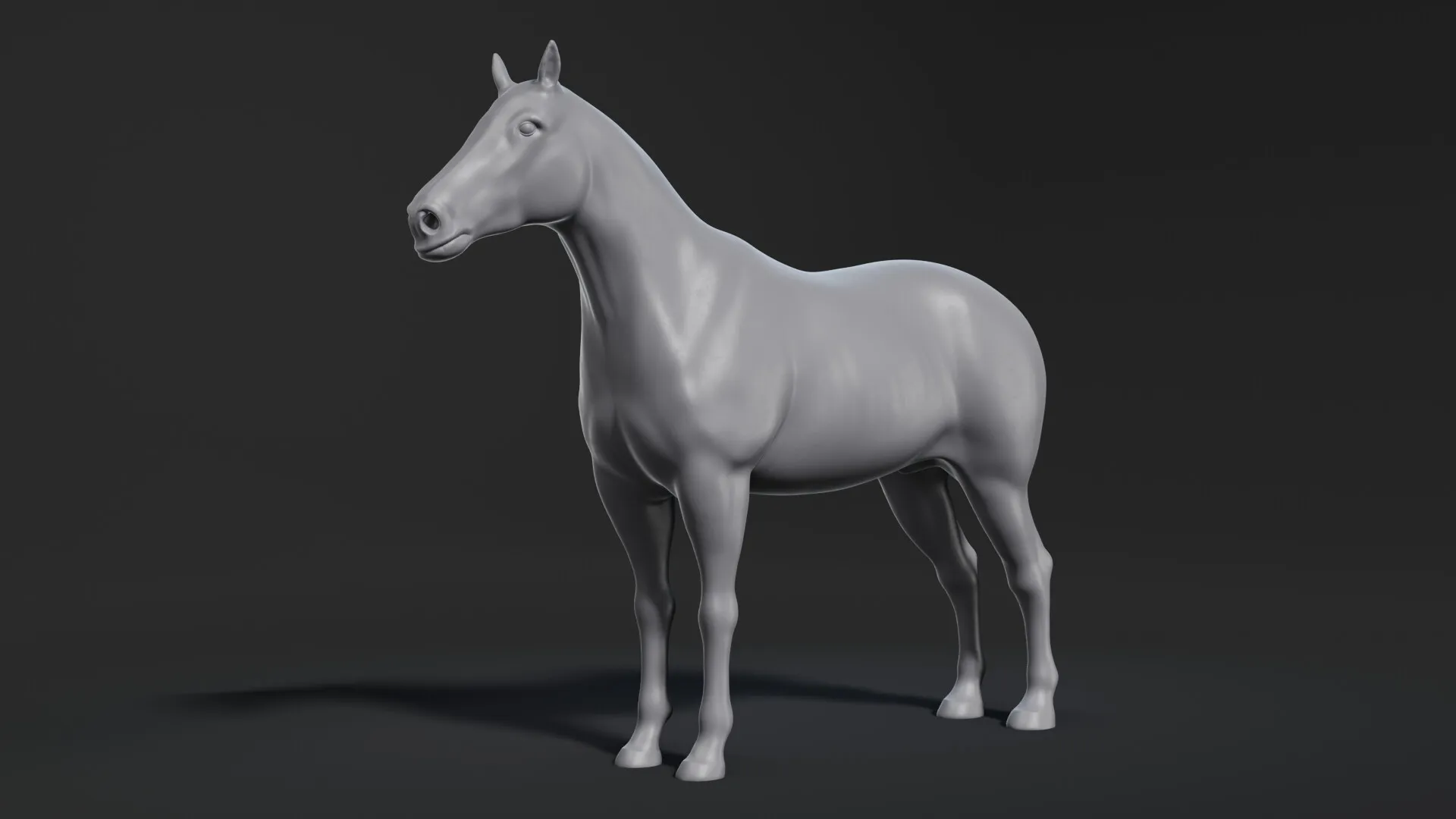 Horse Écorché — image 2