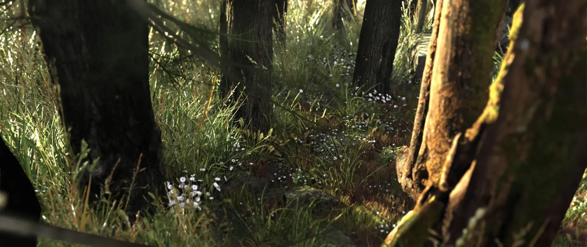 Realtime Forest Environment — image 3