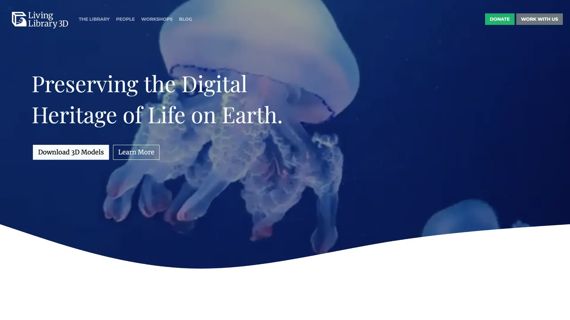 Living Library Branding Kit — image 3
