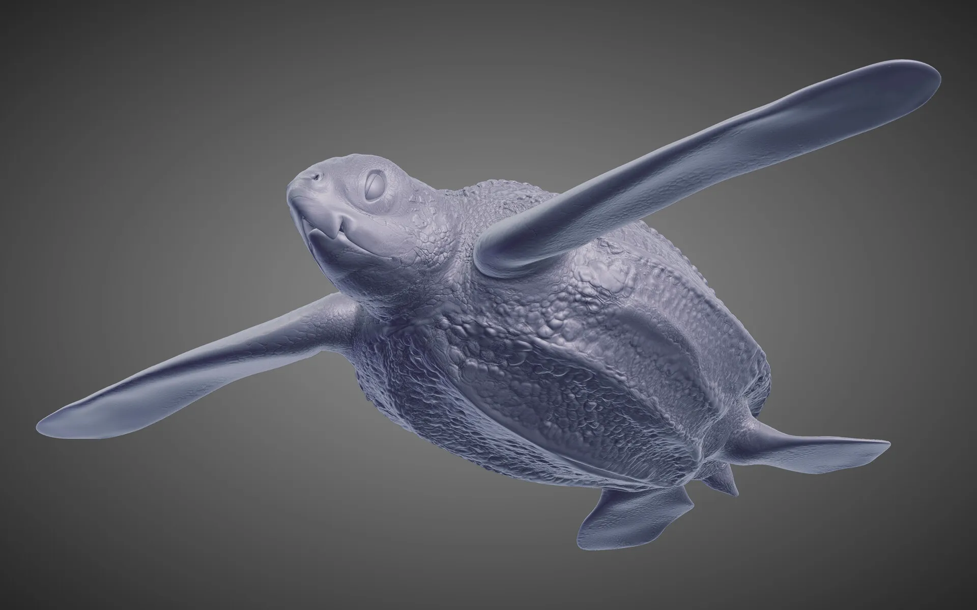 Juvenile Leatherback Sea Turtle — image 5