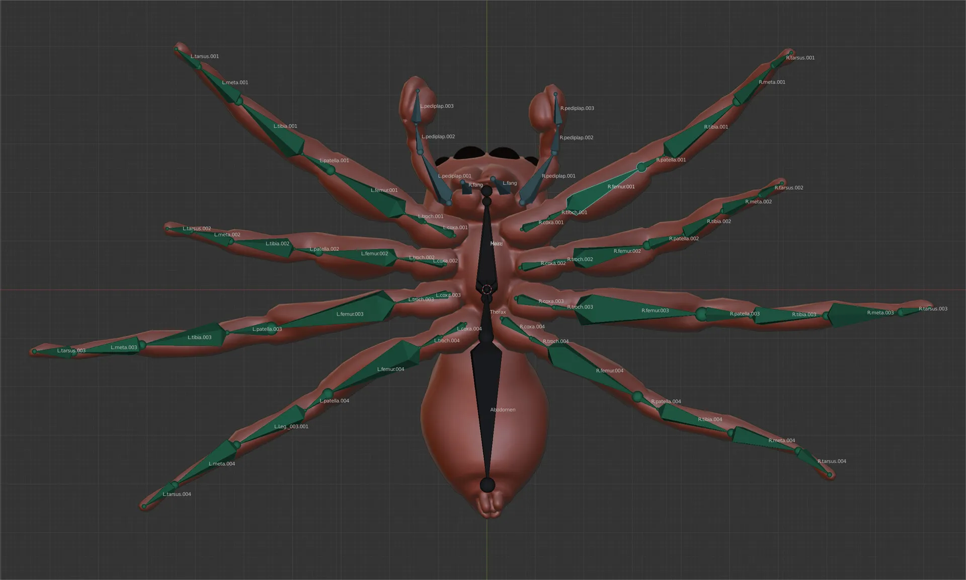 Jumping Spider — image 5